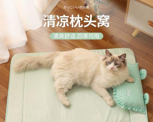 猫咪皮肤破穿应该怎么处理（宠物爱护小技巧大揭秘）