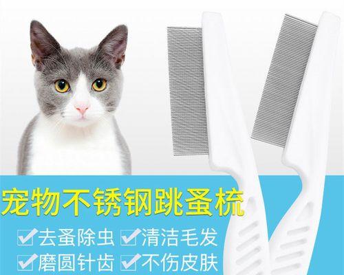 宠物猫掉毛，如何解决（15种有效减少宠物猫掉毛的方法）