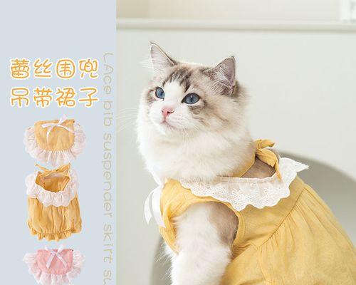 宠物猫咪的掉毛周期（从头到尾）