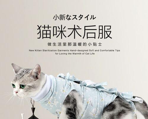 宠物猫咪的掉毛周期（从头到尾）