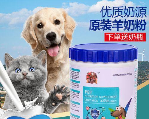 猫咪怀孕期长短及注意事项（了解猫咪怀孕周期）