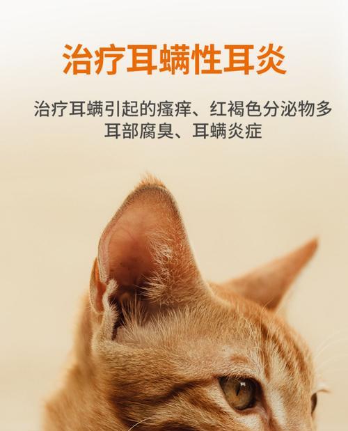 猫咪耳螨清理指南（以宠物为主）