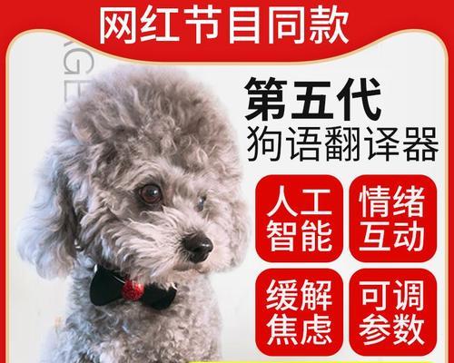 猫语翻译器比较（以宠物为主的猫语翻译器比较与优缺点分析）