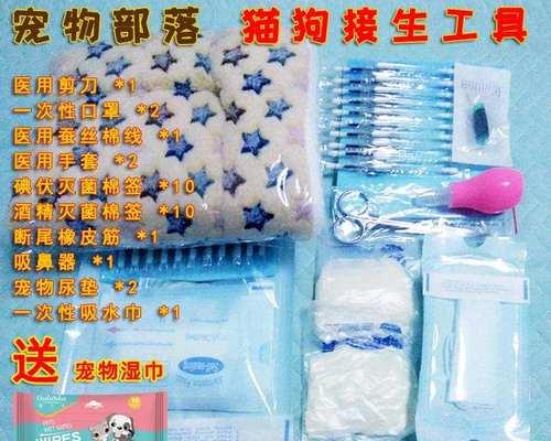 如何安全减脐带——宠物猫咪分娩技巧（详解猫咪分娩的过程及注意事项）