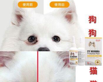 猫咪眼部保健（如何选择适合猫咪的滴眼液）
