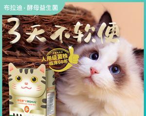 猫咪腹泻吃益生菌，这样做真的能止泻吗（从宠物健康角度探究益生菌的作用）