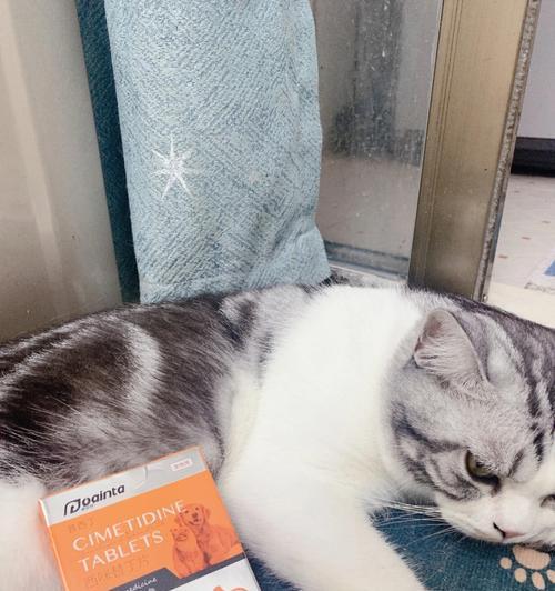 猫咪腹泻呕吐怎么办（针对猫咪腹泻呕吐的治疗方法和药物）