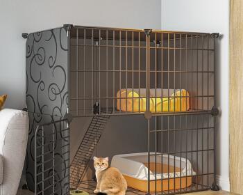 猫笼（探讨猫笼的利与弊）