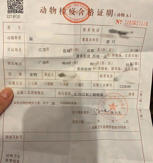 猫咪肝损伤检测花费详解（保护宠物健康）