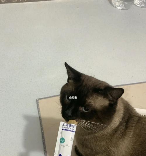 猫咪吃营养膏后为什么会呕吐（营养膏的成分）