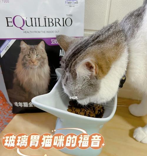 猫咪是否适合只吃猫粮（揭开猫粮成分的真相）