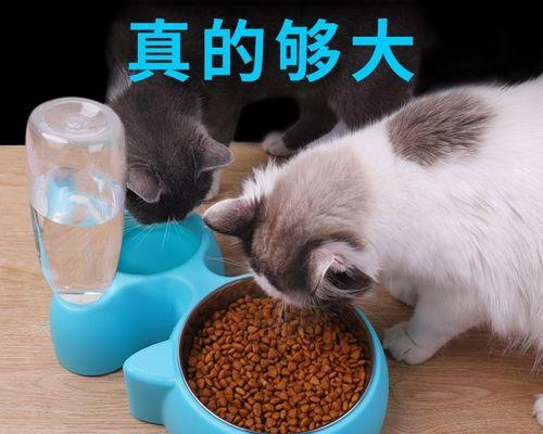 猫咪喝水扒拉水，你需要知道的10个小技巧（宠物猫咪的饮水习惯及如何解决其扒拉水行为）