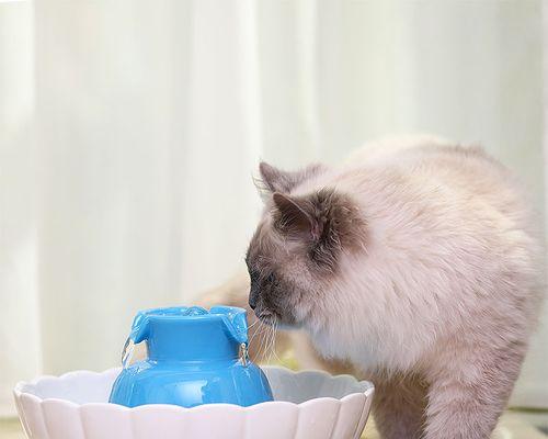 猫咪喝水存活时间有多长？