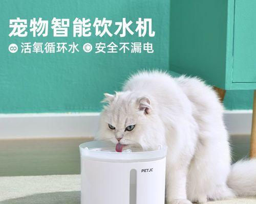 猫咪喝水的正确姿势（注意健康）