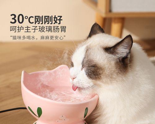 猫咪喝水的正确姿势（注意健康）