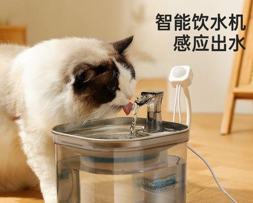 新手宠物家庭必看，小狗喝水全攻略（如何给小狗喝水）
