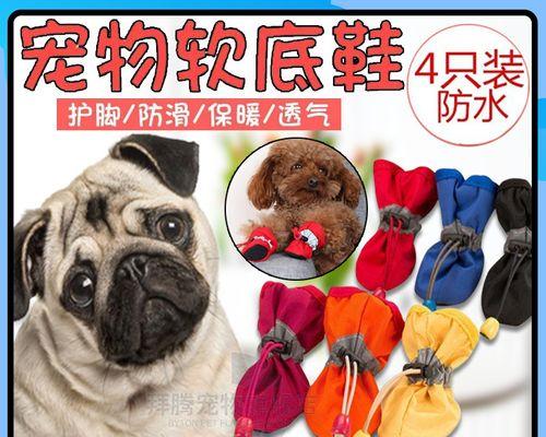 托运宠物火车查询（以什么火车可以托运狗狗为主题）