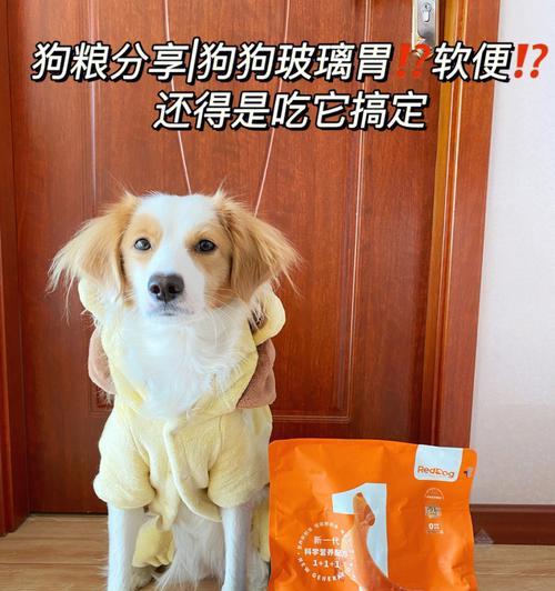 吃什么牌子狗粮拉屎不臭（挑选狗粮的关键）