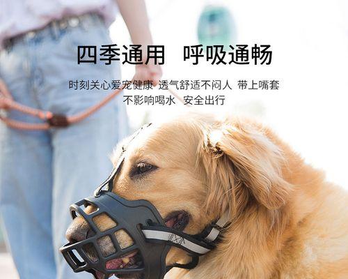 犬种养成长大咬狗行为，如何预防（宠物狗长大咬狗该如何处理）