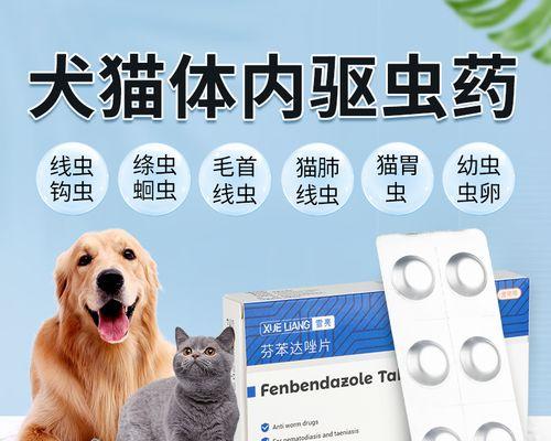 治疗狗狗螨虫，这种药最有效（以宠物为主）