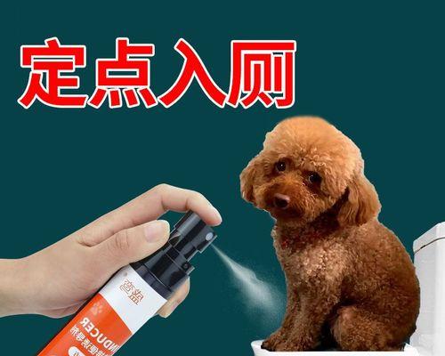 狗狗尿很黄的原因（探寻狗狗尿色异常的原因）