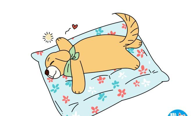 与爱宠共度时光（以兽医主人与可爱的狗狗漫画为主题）