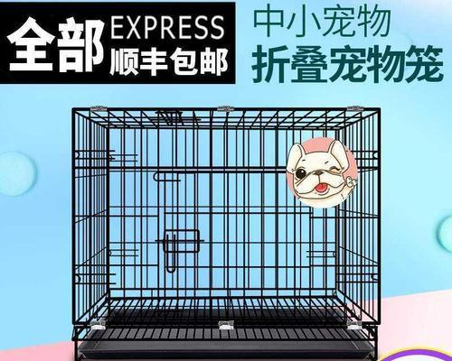 打造宠物天堂——双层猫笼布置攻略（让你的猫咪们生活更精彩）