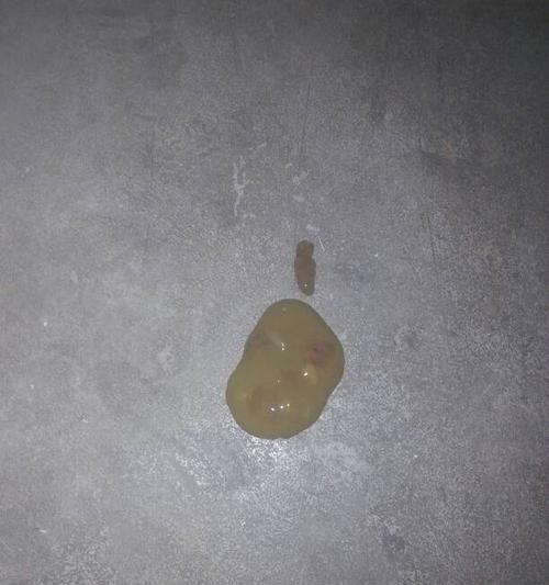 宠物拉肚子怎么办（四个月大的小狗拉肚子的治疗方法及预防措施）