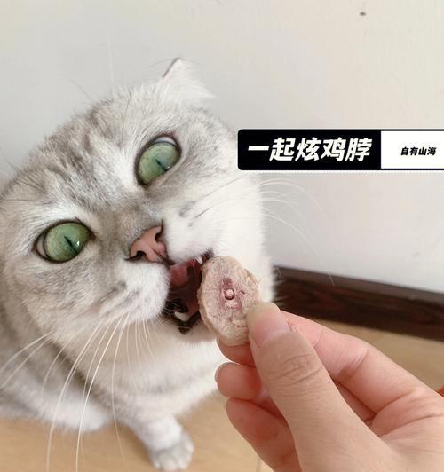 四个月猫咪口臭原因及预防方法（宠物口臭问题的常见症状与解决方法）