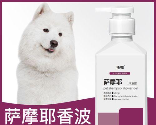 关于小狗的洗澡时间问题，你需要了解的事项（小狗洗澡的时间规律及注意事项）