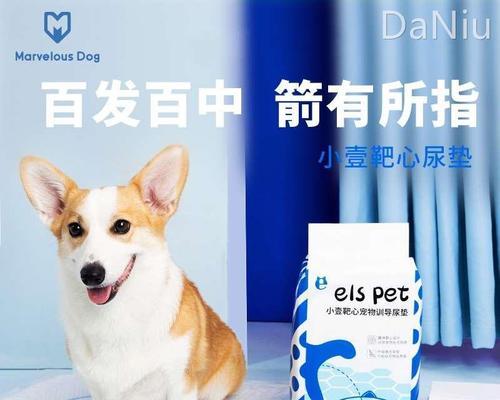 小狗每日尿频率解析（以一个月小狗尿几次为例）