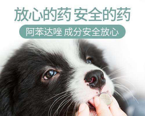 宠物驱虫必备——一个月小狗驱虫药（为什么要给宠物驱虫）