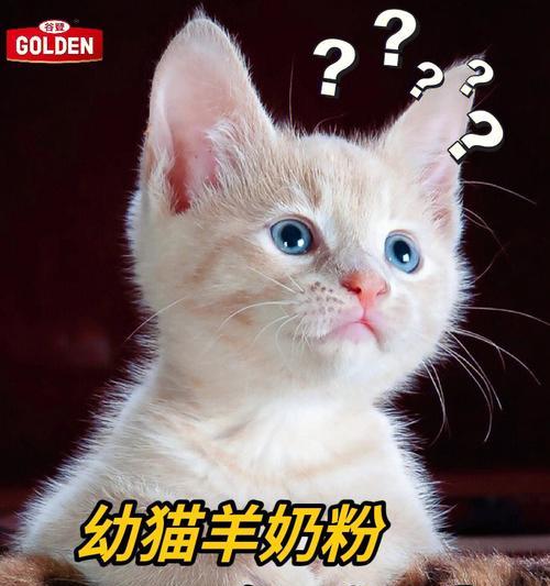 为什么我的猫咪不吃羊奶（宠物喂养中的误区与正确做法）