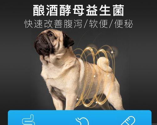 益生菌能否缓解猫咪呕吐腹泻（探究益生菌在宠物健康中的作用）
