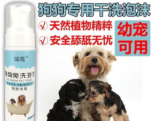15天大的小狗是否适合使用干洗泡沫（以宠物为主的洗护方法探讨）