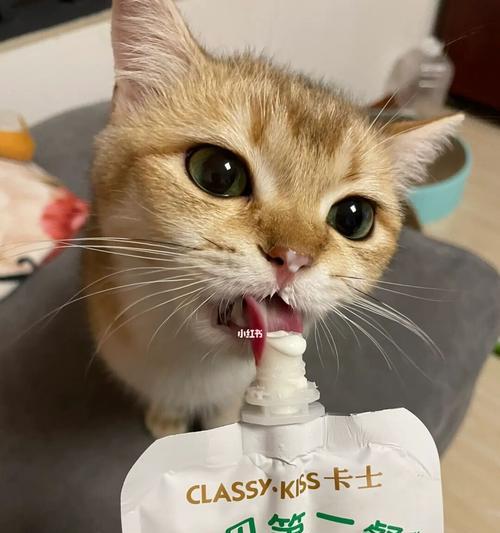可爱的小猫可以喝酸奶吗（解读宠物喝酸奶的优缺点）