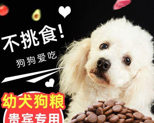4个月小泰迪该吃什么牌子狗粮（以宠物为主）