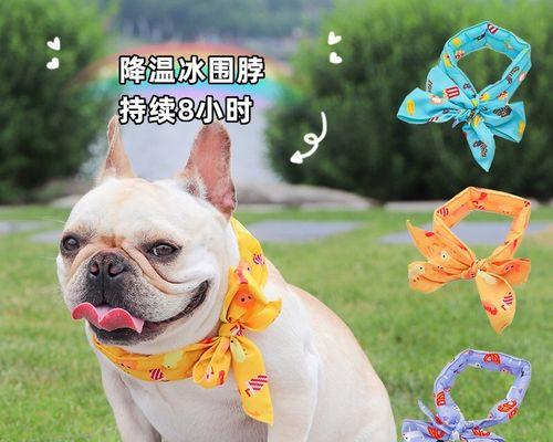 夏季狗狗中暑怎么预防（宠物主人必看）