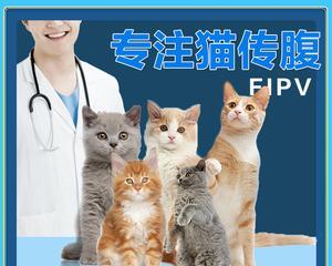 了解FIPV病毒，保护宠物健康（猫咪的FIPV病毒是如何影响宠物健康的）