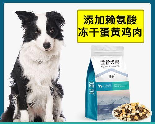 边牧如何健康吃狗粮（探究以狗粮为主食对边牧的重要性）
