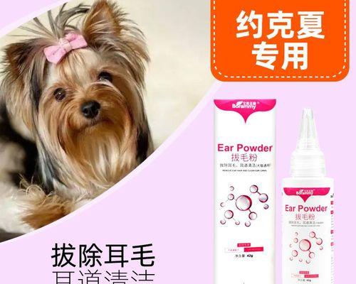 狗耳朵剪流血了怎么办（狗主人必看）