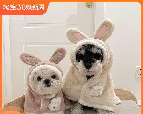 为什么狗要缠耳朵（了解缠耳朵的原因和方法）