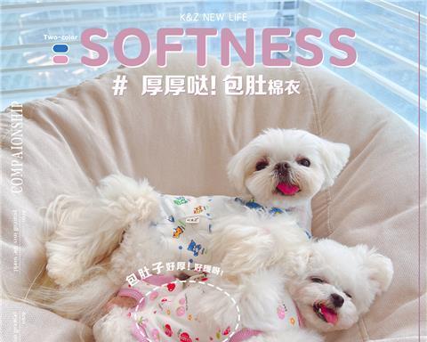 狗狗的健康生活（以宠物为主）