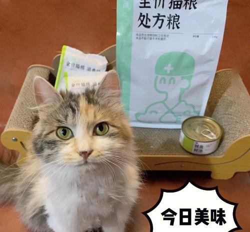 如何帮助软便的猫恢复健康（以猫粮为主）