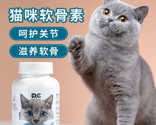 如何给宠物猫补足钙质（补钙小常识）