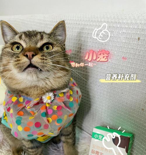猫突拉稀该如何用药（以宠物为主）