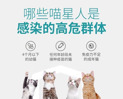 如何用有效消毒物品预防猫瘟（掌握正确的消毒方法）