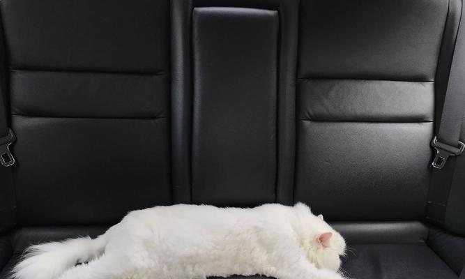 宠物晕车的救治方法（让你的宠物轻松应对车程）