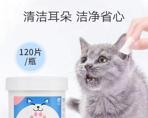 猫咪耳朵清洁指南（如何正确地清理猫咪耳朵）