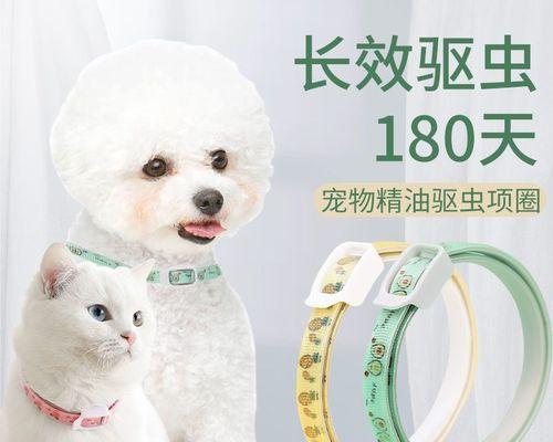 猫咪怀孕可以驱虫吗（以宠物为主的驱虫方法与注意事项）